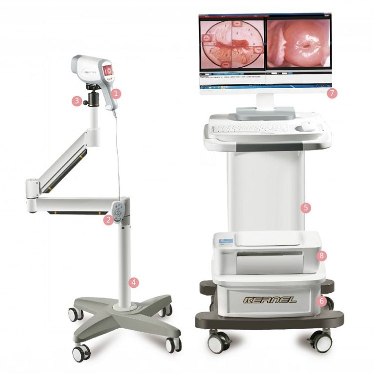 Kernel Colposcope